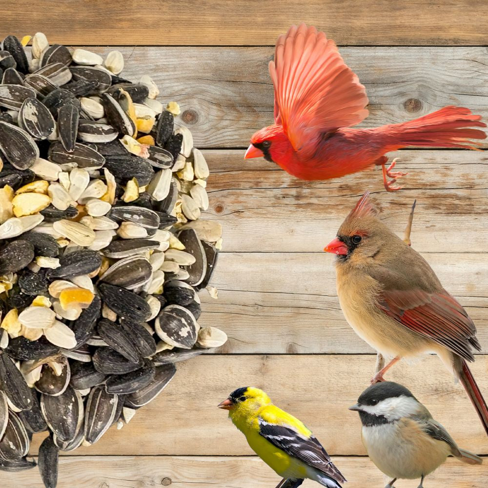 Mixed wild bird seed with a red cardinal and small finches perched