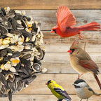 Mixed wild bird seed with a red cardinal and small finches perched
