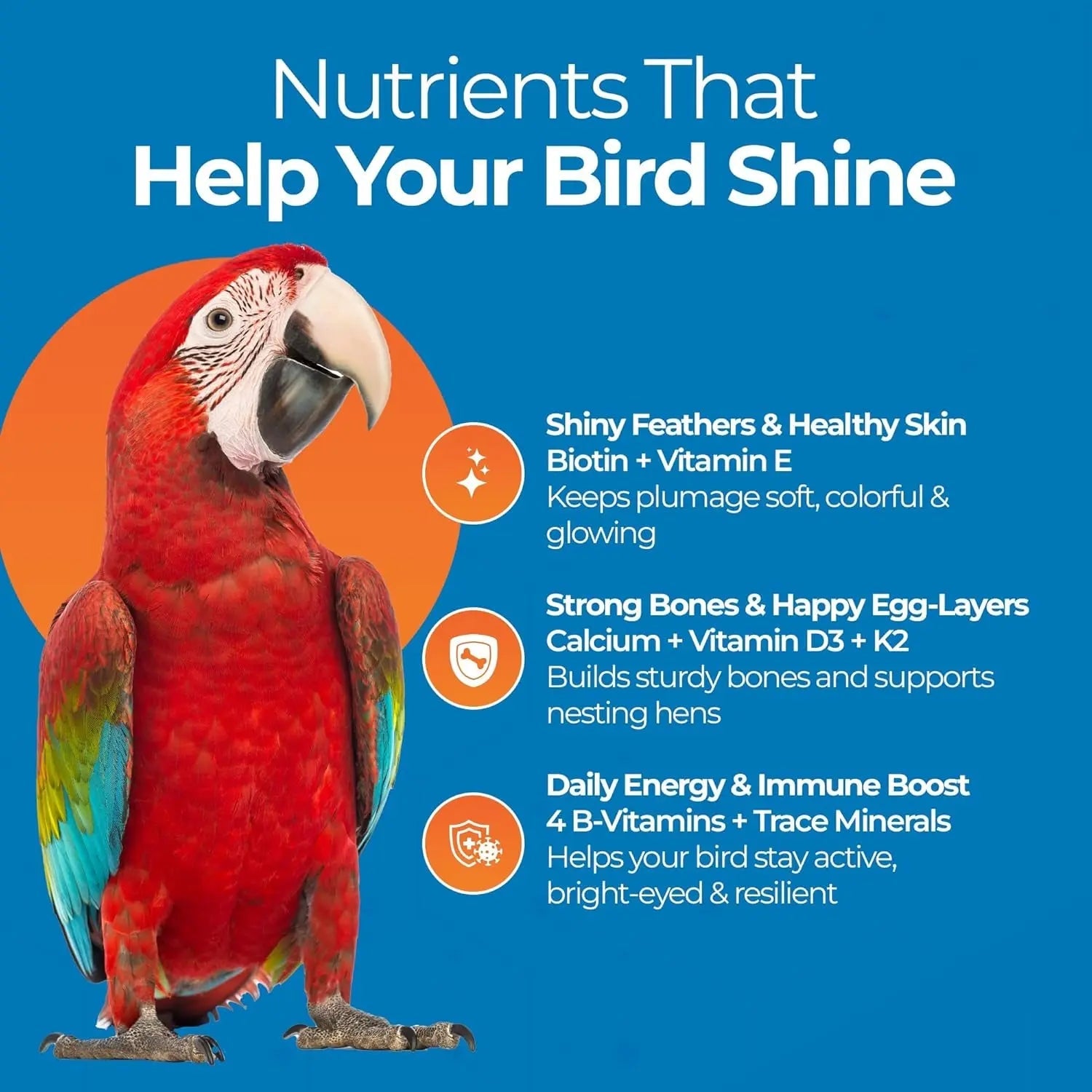 Bird vitamins nutrients panel with red parrot and icons for skin, bones, energy
