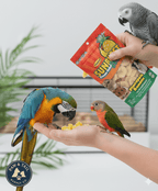Hand holding red Sunburst pineapple-mango freeze-dried fruit pouch for birds