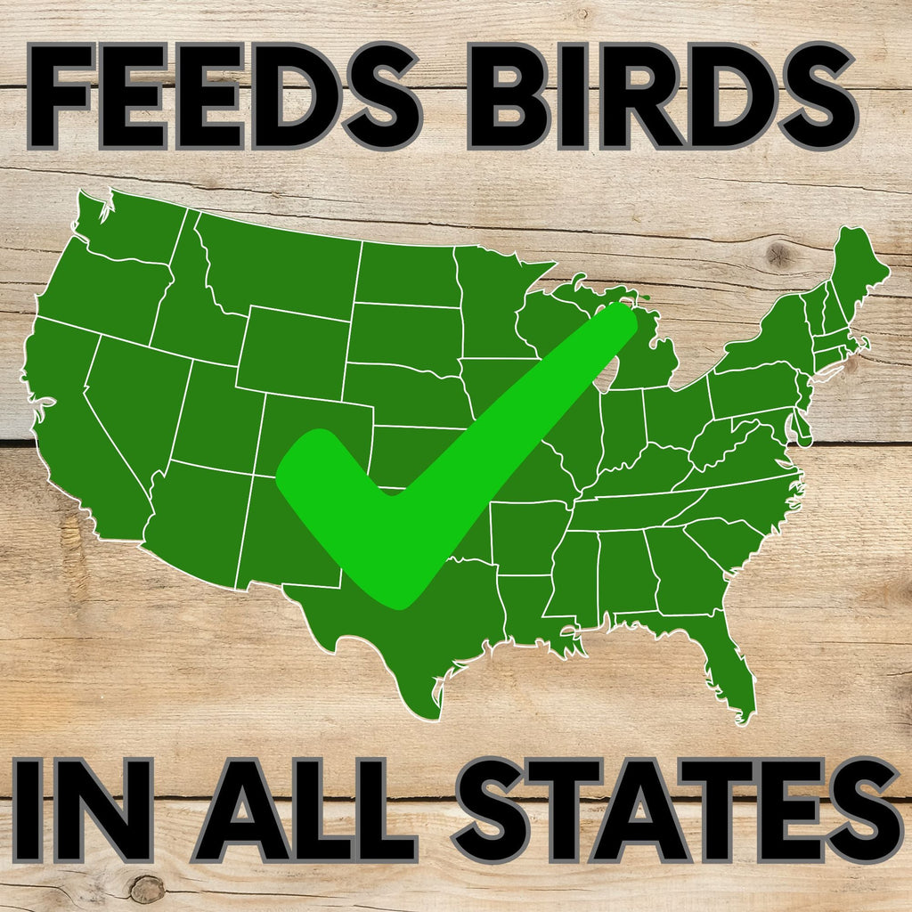 Bird seed coverage infographic, green USA map with checkmark for all states