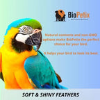 Bird bath spray label featuring colorful parrots and bold text for soft, shiny feathers