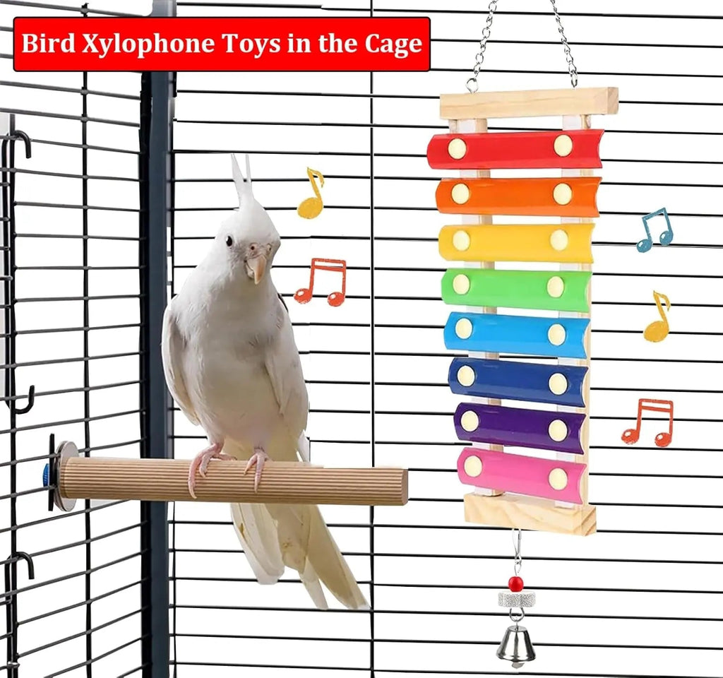 Wooden bird xylophone toy with colorful bars hanging in cage, with white cockatoo