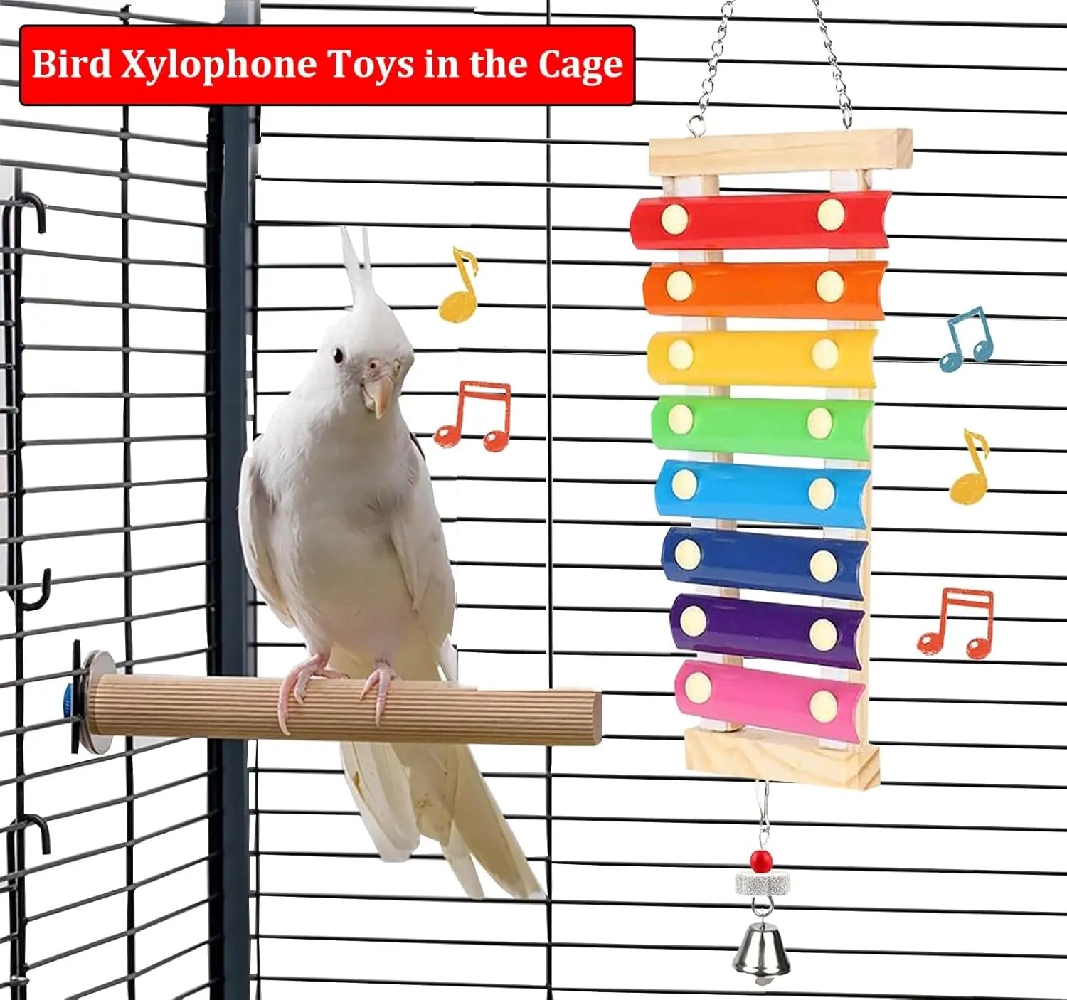 Wooden bird xylophone toy with colorful bars hanging in cage, with white cockatoo