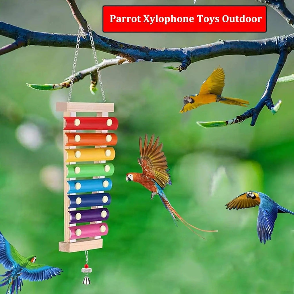Hanging wooden bird xylophone toy with multicolor bars and bell chimes, outdoors