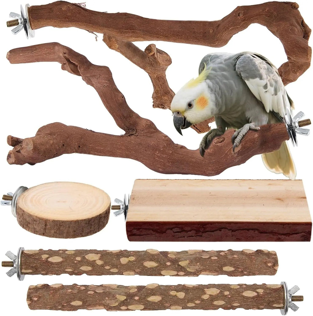 Natural wood bird perch set with grapevine branches, circle platform, and long log perch