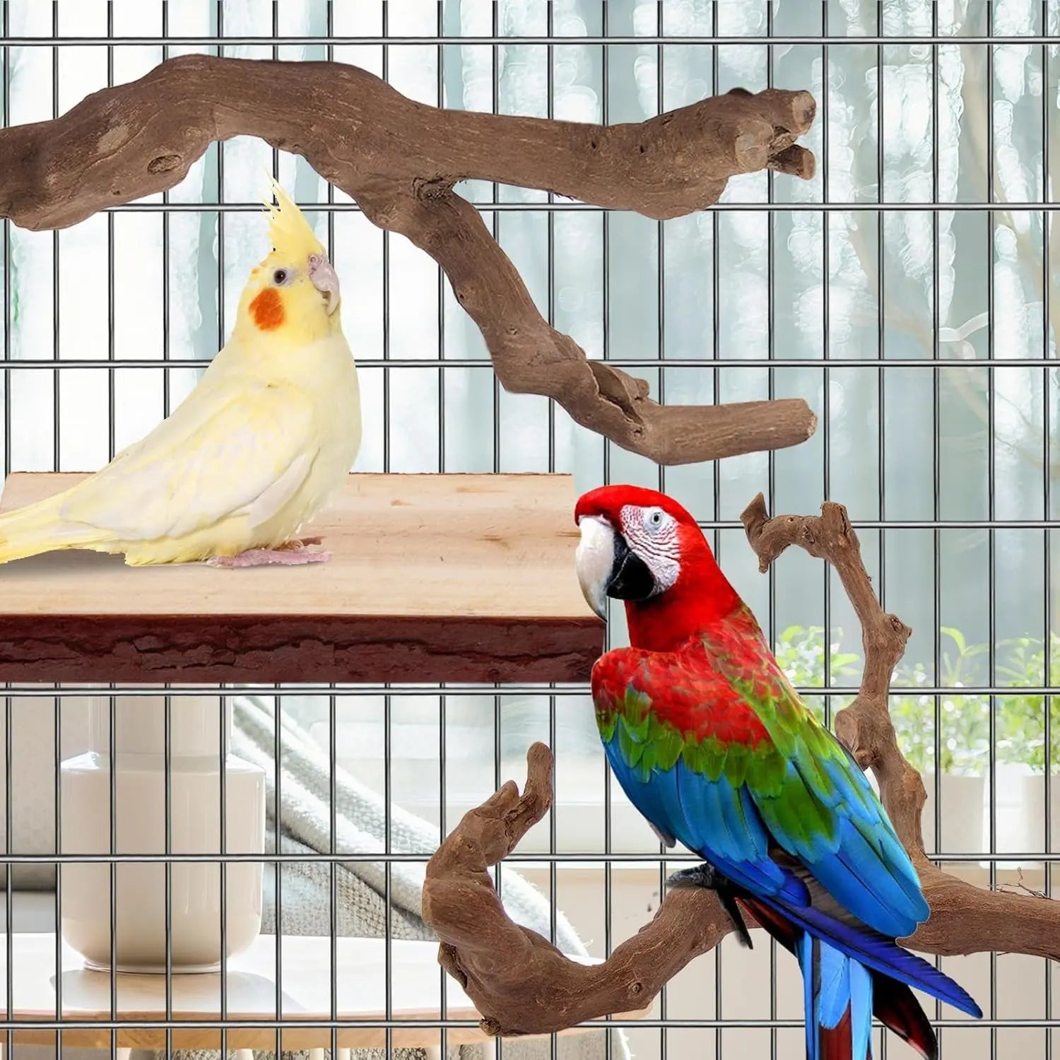 Grapevine branch bird perch with flat platform, featuring cockatiel and parrot