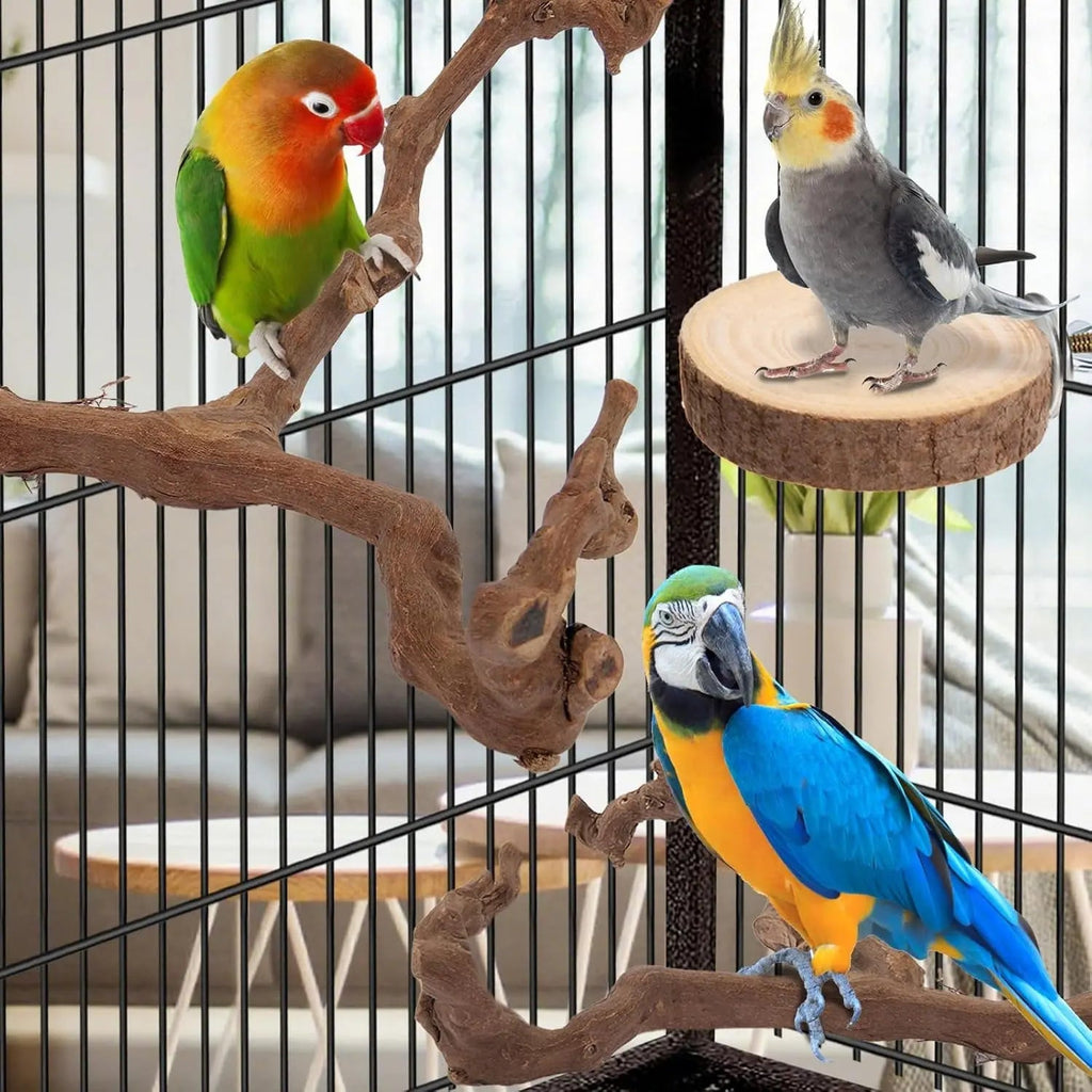 Grapevine branch perch set with round platform and multiple parrots inside a cage