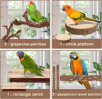 Bird perch set showing grapevine branches, round platform, and rectangle and log perches