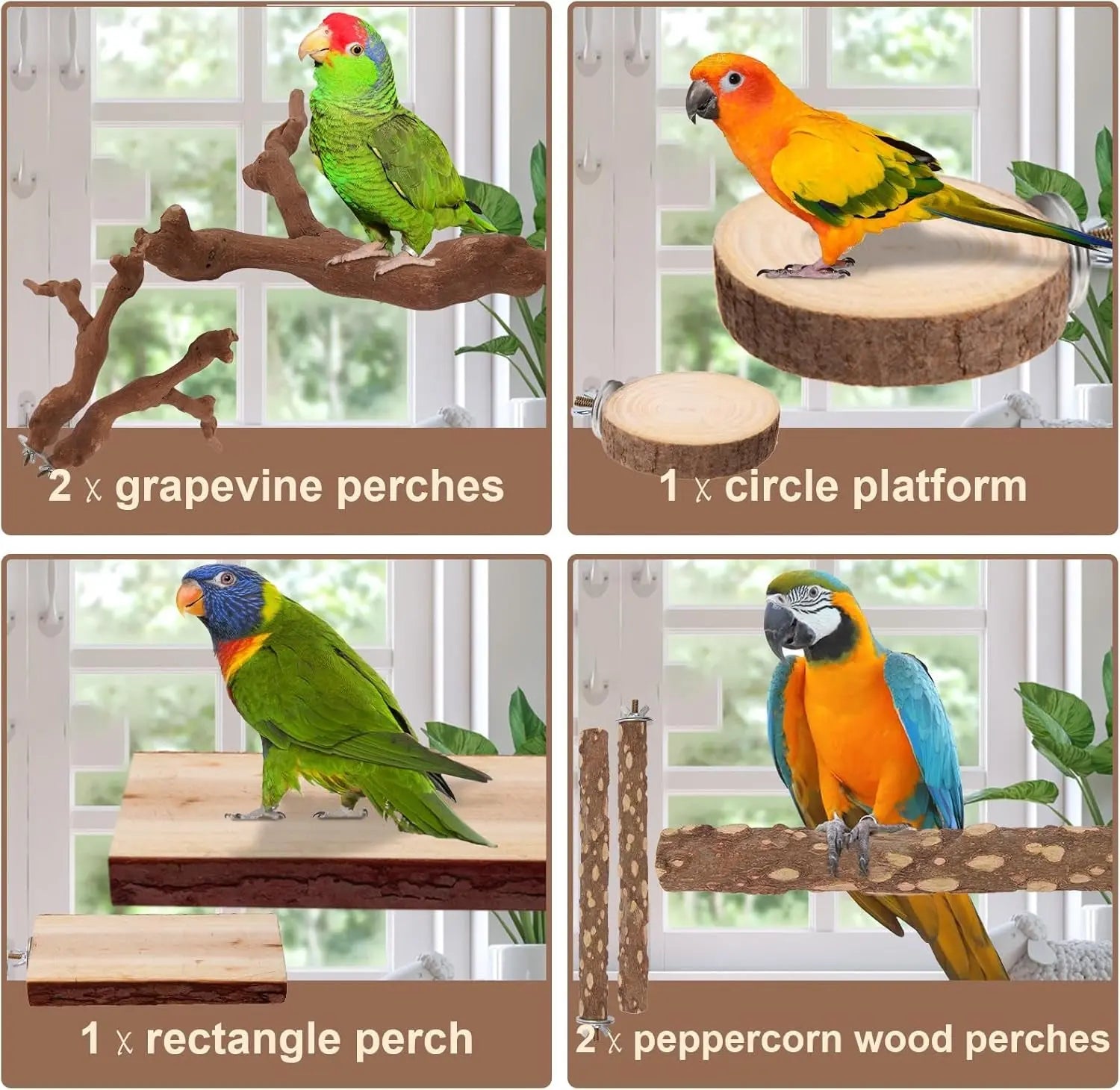 Bird perch set showing grapevine branches, round platform, and rectangle and log perches
