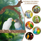 Jungle-style wood grapevine and platform bird perch set with colorful small birds