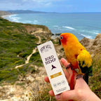 Hemp oil supplement carton for birds held near a bright orange parrot on outdoor scenery.