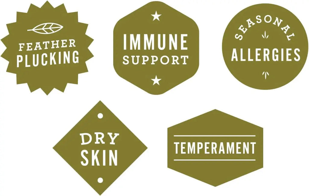 Hemp oil supplement icons for birds: feather plucking, immune support, seasonal allergies, dry skin.