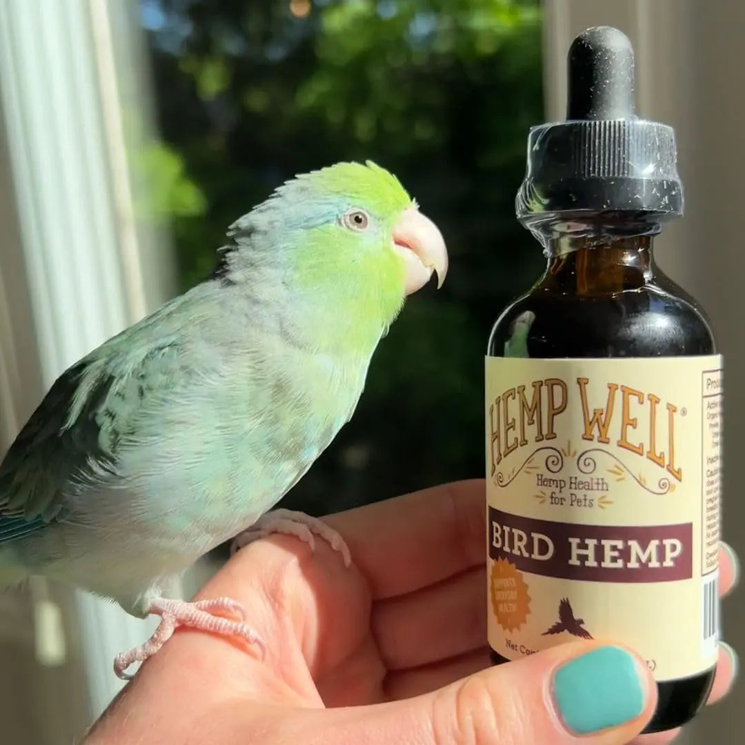 Hemp oil supplement bottle for birds with black dropper beside a green parrot on a hand.