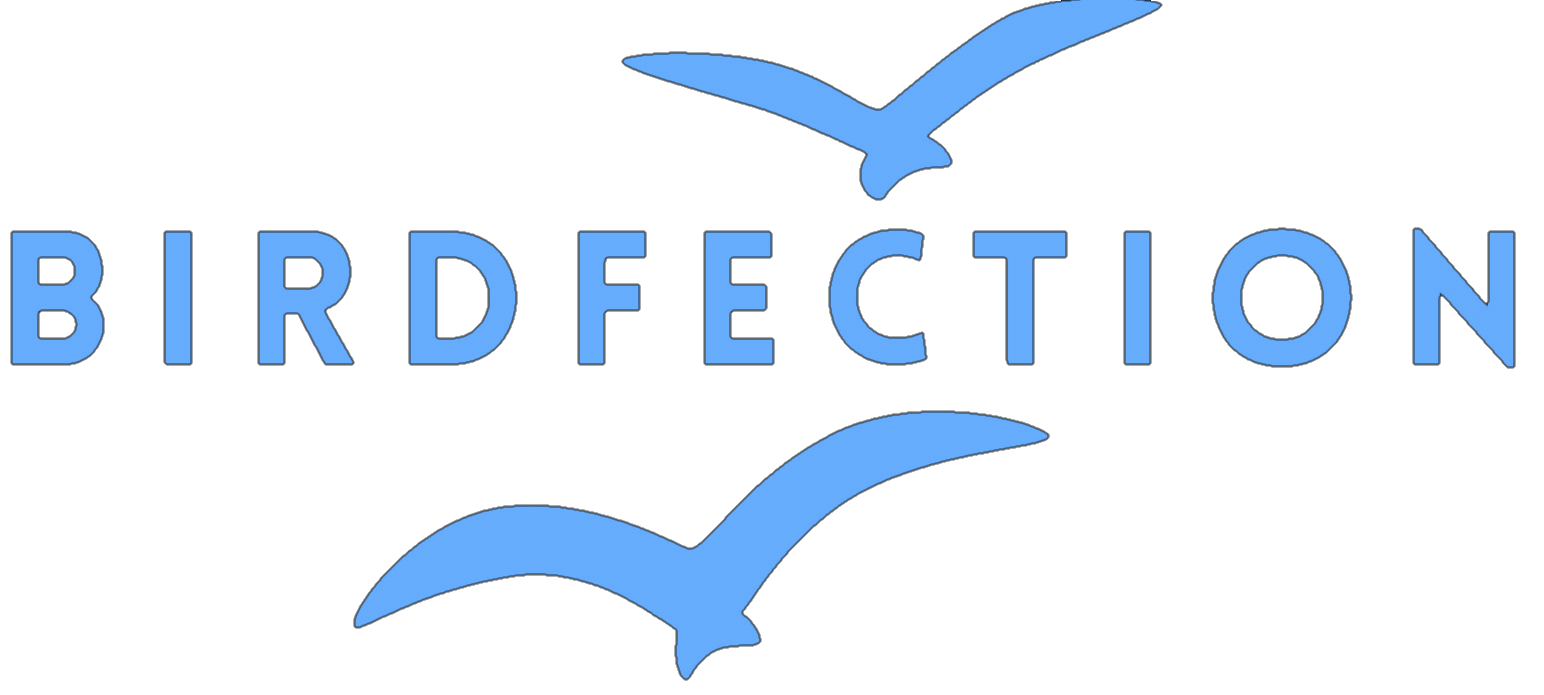 Blue bird silhouette logo with the word BIRDFECTION on a blank background.