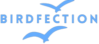Blue bird silhouette logo with the word BIRDFECTION on a blank background.