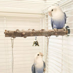 Natural wood branch perch set with two hanging platforms and brass bells