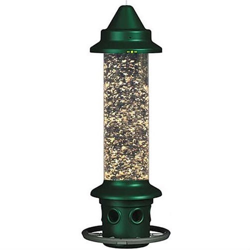 Green cylindrical wild bird feeder with mesh seed tube and adjustable perch ring
