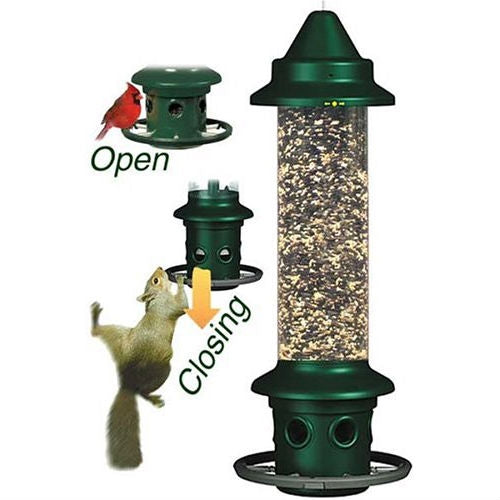 Green mesh seed tube bird feeder with adjustable perch ring and side openings