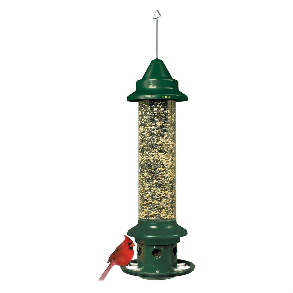 Green hanging wild bird feeder with mesh seed tube and wide base perch ring
