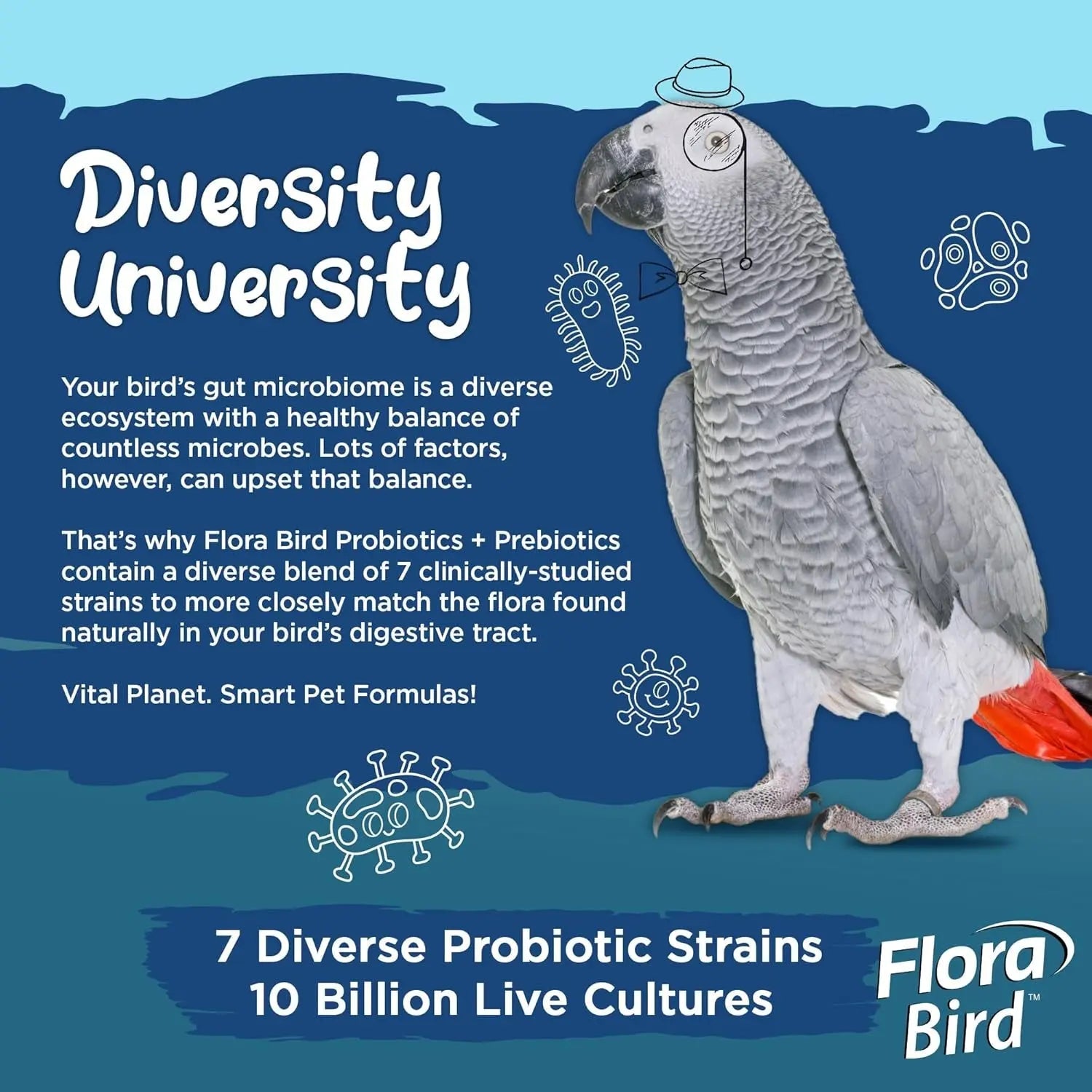 Flora Bird probiotic tub infographic with diversity theme and parrot bird graphic