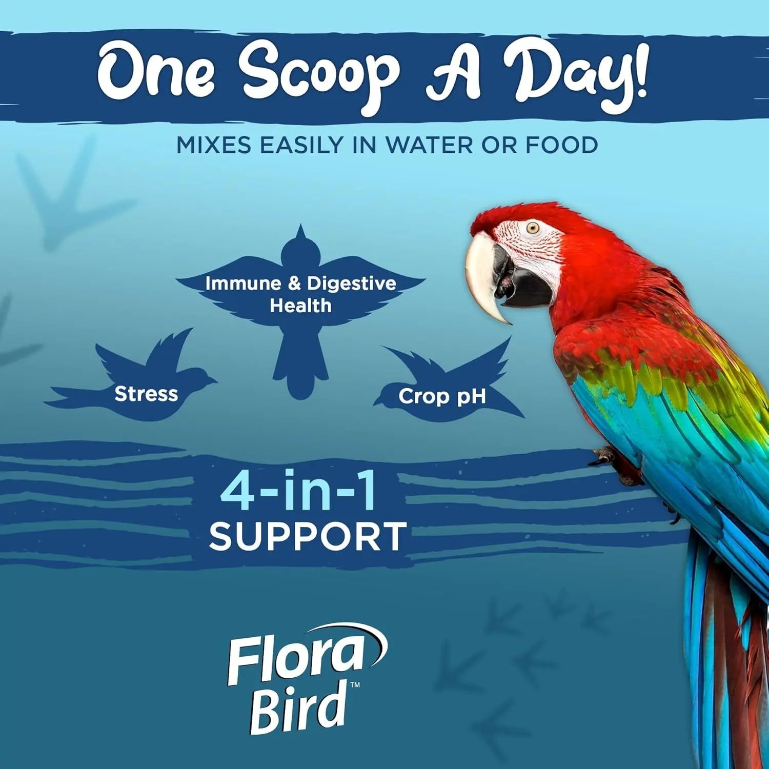 Flora Bird probiotic tub infographic, one scoop daily and 4-in-1 support