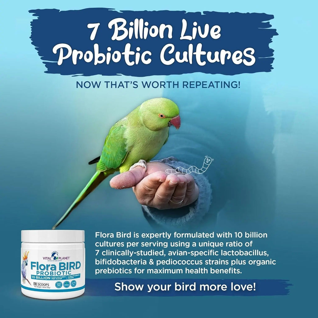 Flora Bird probiotic tub infographic with 7 billion live probiotic cultures and green parrot