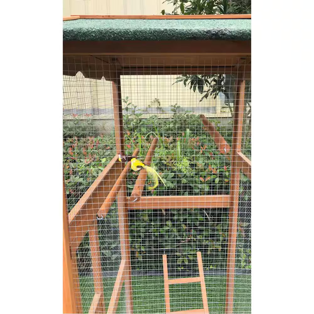 Wood bird aviary with wire mesh panels, indoor perches, and ramp