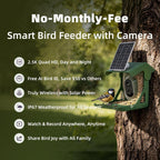 Green solar bird feeder camera mounted on a tree with solar panel and front lens