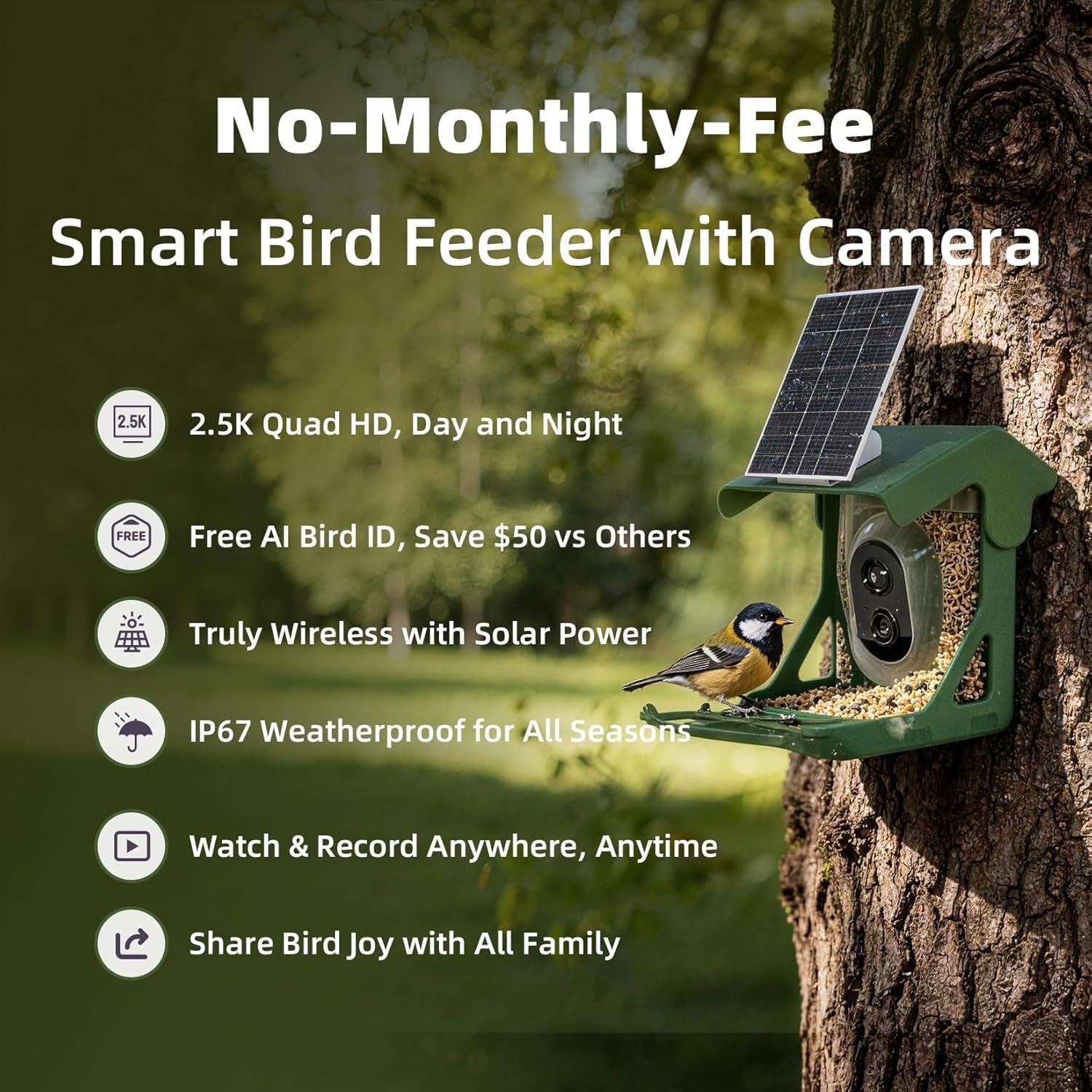 Green solar bird feeder camera mounted on a tree with solar panel and front lens
