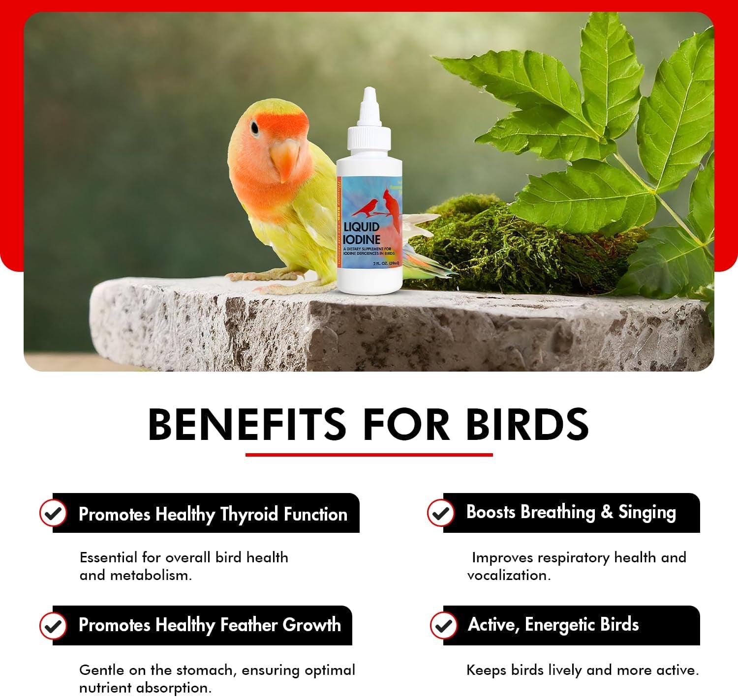 Liquid iodine supplement bottle with dropper, beside small birds and leafy greens