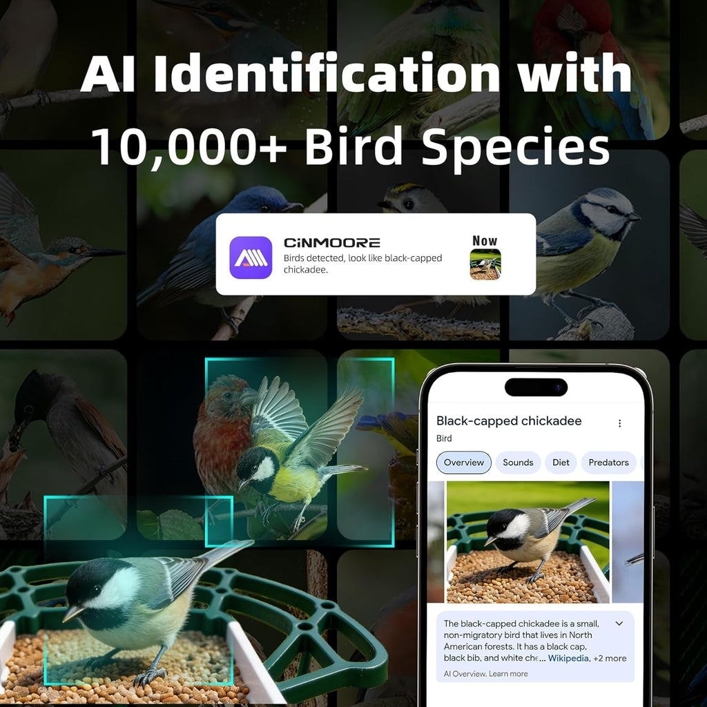 Green bird feeder camera with smartphone display showing bird identification details