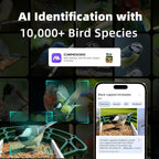 Green bird feeder camera with smartphone display showing bird identification details