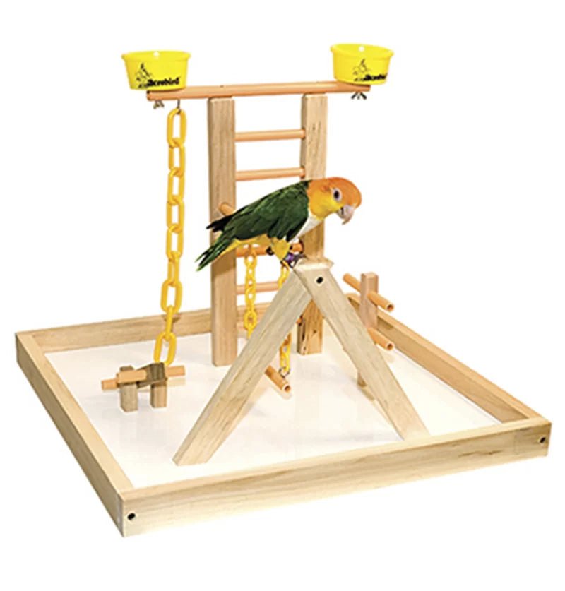 Wooden tabletop bird playgym with perch, chains, and hanging cups for parrots