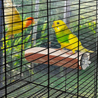 Wood bird perch inside wire cage with two parrots and screw-on mount.