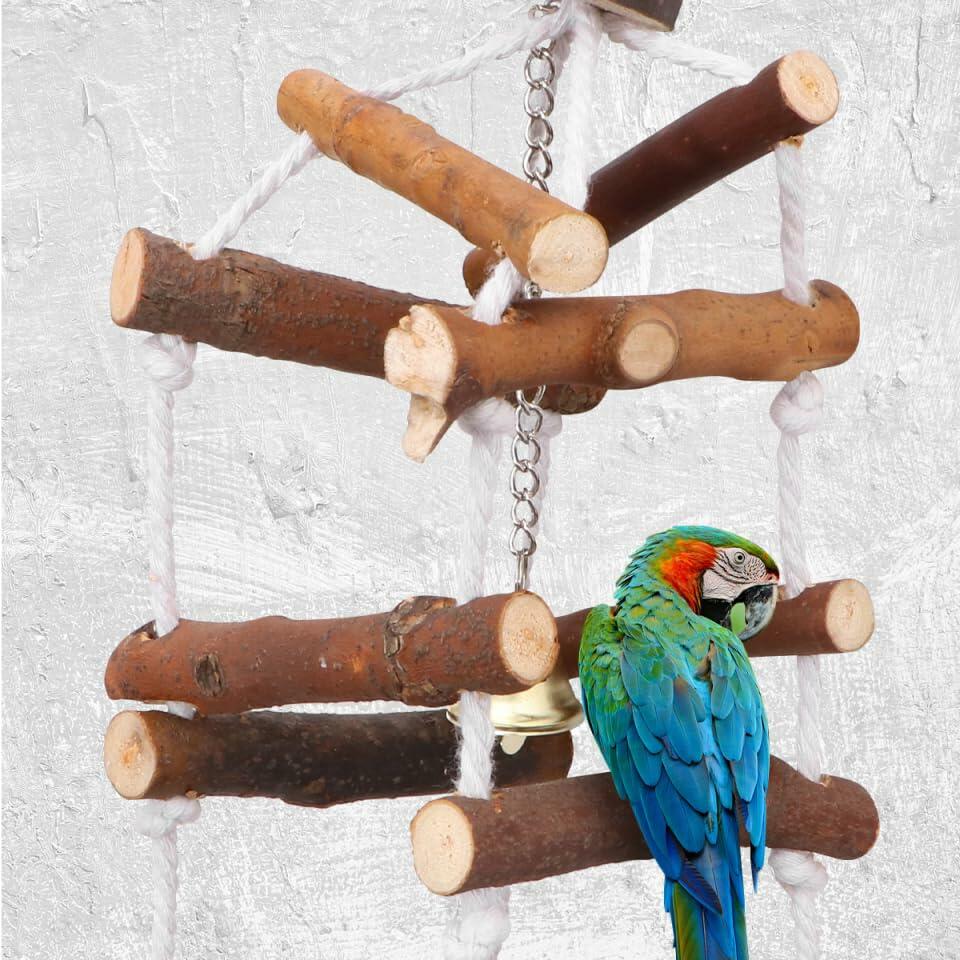 Bird swing ladder with hanging metal bell and colorful parrot perched on wooden bars