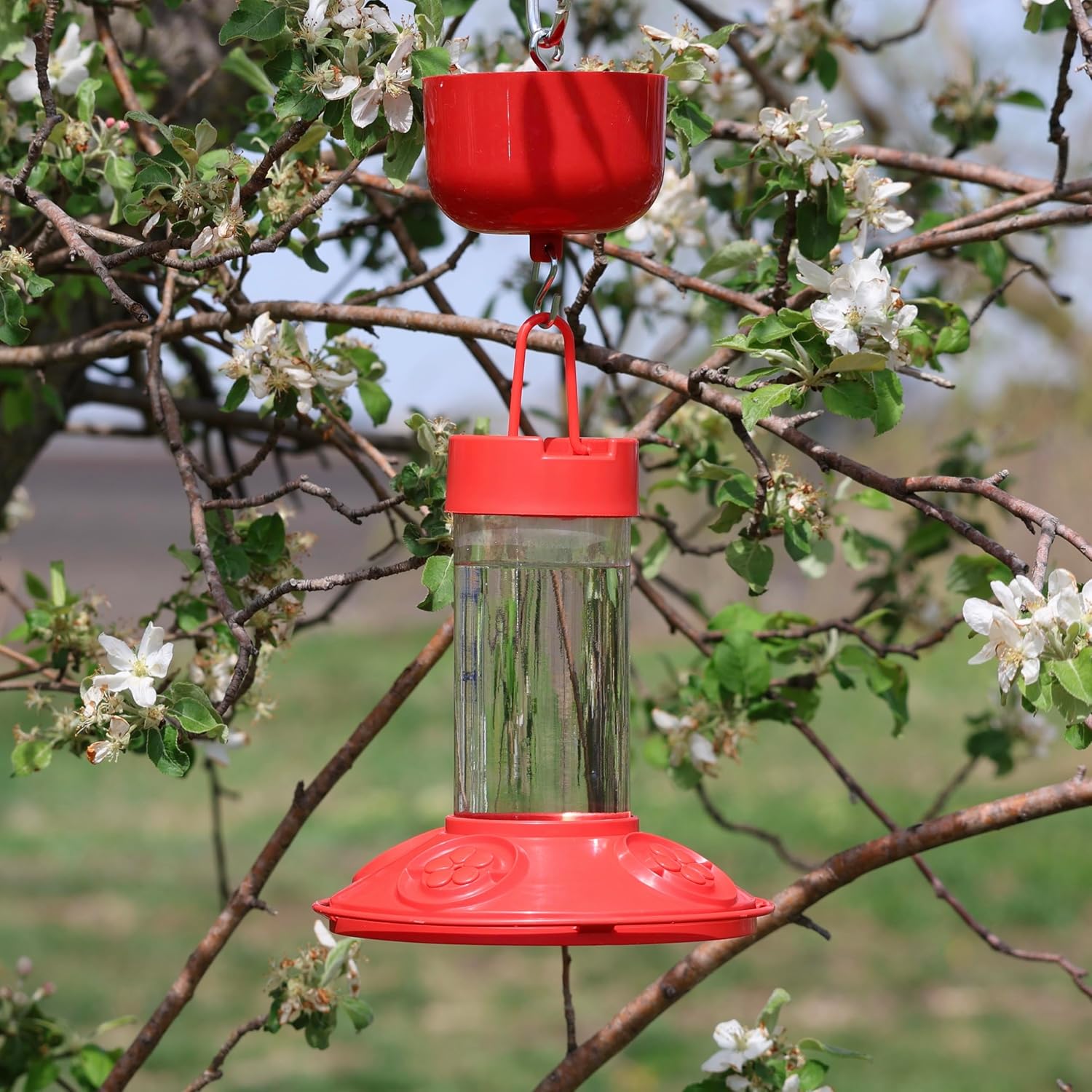 Red nectar feeder ant moat attachment with red top and metal mesh on hanging hook