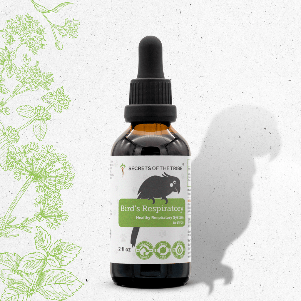 Alcohol-free bird respiratory supplement liquid in amber glass bottle with dropper