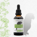 Alcohol-free bird respiratory supplement liquid in amber glass bottle with dropper